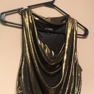 Sexy Express Shiny Top Never Worn